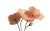 Vintage Poppies Illustration Vinyl Car Decal Sticker – Waterproof & UV-Resistant 
