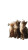 Cats Awaiting Cookies Vinyl Car Decal Sticker – Waterproof & UV-Resistant 