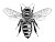 Cartoon Bee V11 Vinyl Car Decal Sticker – Waterproof & UV-Resistant 