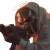 Mf Doom Poster Vinyl Car Decal Sticker – Waterproof & UV-Resistant 
