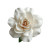 Floating Gardenia Vinyl Car Decal Sticker – Waterproof & UV-Resistant 