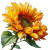 Flying Sunflower Vinyl Car Decal Sticker – Waterproof & UV-Resistant 