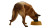 Caramel Mutt Eating Vinyl Car Decal Sticker – Waterproof & UV-Resistant 
