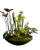 Carnivorous Plants Exhibition Vinyl Car Decal Sticker – Waterproof & UV-Resistant 