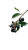 Cherry Harvest Hands Vinyl Car Decal Sticker – Waterproof & UV-Resistant 