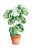 Potted Monstera Vinyl Car Decal Sticker – Waterproof & UV-Resistant 
