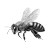 Victorian Flying Bee Vinyl Car Decal Sticker – Waterproof & UV-Resistant 