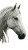 White Horse Close-Up V2 Vinyl Car Decal Sticker – Waterproof & UV-Resistant 