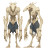 Bone Sinew Creatures V8 Vinyl Car Decal Sticker – Waterproof & UV-Resistant 