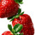 Ripe Strawberries Watercolor Vinyl Car Decal Sticker – Waterproof & UV-Resistant 