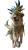 Festive Street Dog Vinyl Car Decal Sticker – Waterproof & UV-Resistant 