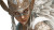 Ethereal Valkyrie Portrait V3 Vinyl Car Decal Sticker – Waterproof & UV-Resistant 