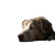 Patient Dog Vinyl Car Decal Sticker – Waterproof & UV-Resistant 