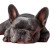 French Bulldog Napping Vinyl Car Decal Sticker – Waterproof & UV-Resistant 