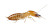 Termite Profile Vinyl Car Decal Sticker – Waterproof & UV-Resistant 