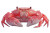 Sea Crab Vinyl Car Decal Sticker – Waterproof & UV-Resistant 