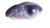 Digital Eye Reflection V2 Vinyl Car Decal Sticker – Waterproof & UV-Resistant 