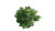 Blurred Tree Top Vinyl Car Decal Sticker – Waterproof & UV-Resistant 