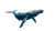 Humpback Whale V2 Vinyl Car Decal Sticker – Waterproof & UV-Resistant 