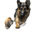 Chasing Cat Chaos Vinyl Car Decal Sticker – Waterproof & UV-Resistant 
