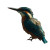 Wild Kingfisher Vinyl Car Decal Sticker – Waterproof & UV-Resistant 