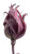 Silk Flower Bud Vinyl Car Decal Sticker – Waterproof & UV-Resistant 