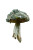 Lichen-Covered Mushroom Vinyl Car Decal Sticker – Waterproof & UV-Resistant 