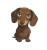 Dachshund Puppy Illustration V2 Vinyl Car Decal Sticker – Waterproof & UV-Resistant 