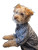 Dog At Computer Vinyl Car Decal Sticker – Waterproof & UV-Resistant 