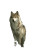 Elegant She-Wolf Vinyl Car Decal Sticker – Waterproof & UV-Resistant 
