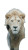 Lion Herd Scene V2 Vinyl Car Decal Sticker – Waterproof & UV-Resistant 
