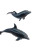 Dolphins In Harmony Vinyl Car Decal Sticker – Waterproof & UV-Resistant 