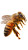 Honeybee Close-Up Vinyl Car Decal Sticker – Waterproof & UV-Resistant 