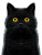 Black Cat V17 Vinyl Car Decal Sticker – Waterproof & UV-Resistant 