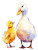 Baby Chick Duck Vinyl Car Decal Sticker – Waterproof & UV-Resistant 