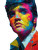 Pop Art Elvis V2 Vinyl Car Decal Sticker – Waterproof & UV-Resistant 