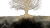 Spiritual Tree Illustration Vinyl Car Decal Sticker – Waterproof & UV-Resistant 