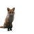Lynx On Parking Vinyl Car Decal Sticker – Waterproof & UV-Resistant 
