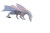 White Dragon Dawn Vinyl Car Decal Sticker – Waterproof & UV-Resistant 