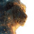 Golden Lion Projection Vinyl Car Decal Sticker – Waterproof & UV-Resistant 