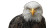 Giant Bald Eagle Vinyl Car Decal Sticker – Waterproof & UV-Resistant 