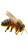 Honeybee Close-Up V2 Vinyl Car Decal Sticker – Waterproof & UV-Resistant 