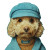Poodle Lucas Vinyl Car Decal Sticker – Waterproof & UV-Resistant 