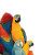 Seamless Parrots Vinyl Car Decal Sticker – Waterproof & UV-Resistant 