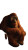 Relaxed Orangutan Vinyl Car Decal Sticker – Waterproof & UV-Resistant 