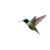 Hummingbird At Hibiscus Vinyl Car Decal Sticker – Waterproof & UV-Resistant 