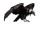 Andean Condor Flight Vinyl Car Decal Sticker – Waterproof & UV-Resistant 