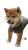 Baby Shiba Inu Vinyl Car Decal Sticker – Waterproof & UV-Resistant 