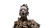 Monster Geisha Attack Vinyl Car Decal Sticker – Waterproof & UV-Resistant 