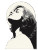 Stylized Woman Portrait V5 Vinyl Car Decal Sticker – Waterproof & UV-Resistant 